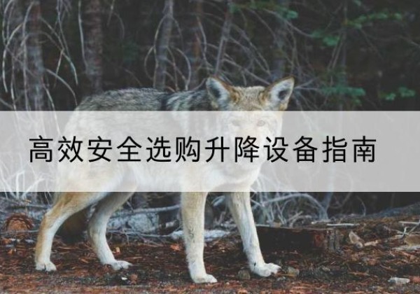 安居升降货梯厂家推荐-*安全选购升降设备指南
