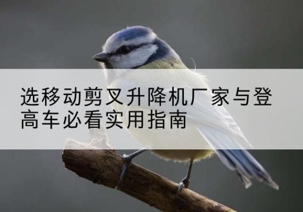 安居电动升降机厂家-选移动剪叉升降机厂家与登高车必看实用指南