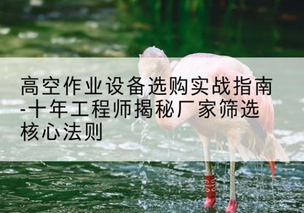 安居剪叉式升降机厂家-高空作业设备选购实战指南-十年工程师揭秘厂家筛选核心法则